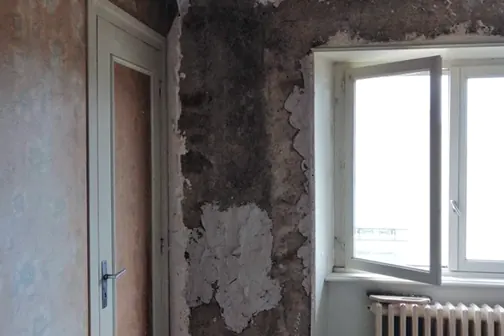 Rénovation de mur abîmé